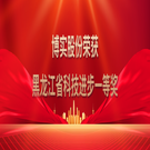 省科技前进一等奖
